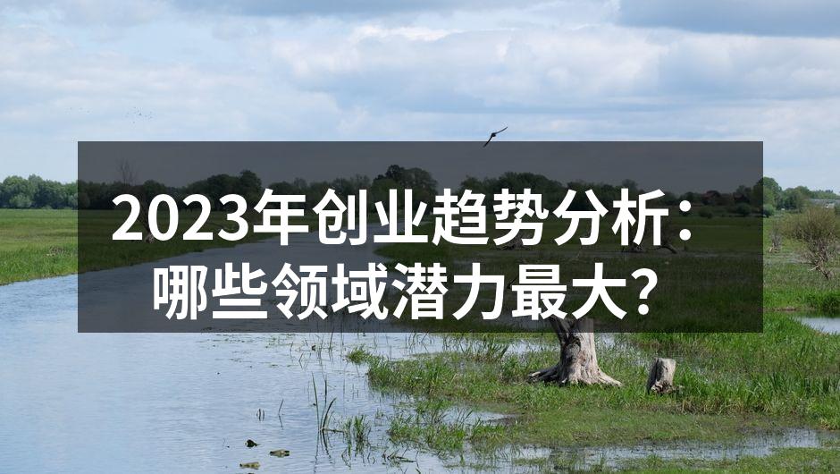 创业趋势分析,数字化转型开启新机遇