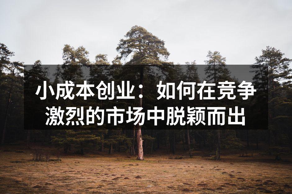 小成本创业的成功案例