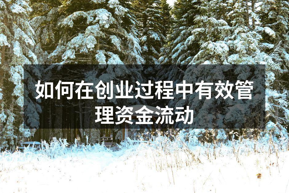 如何在创业过程中有效管理资金流动